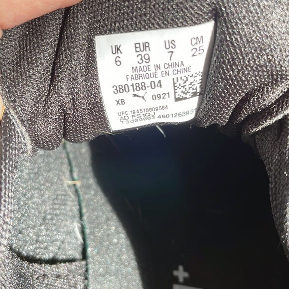 Pumas - Picture 6 of 7